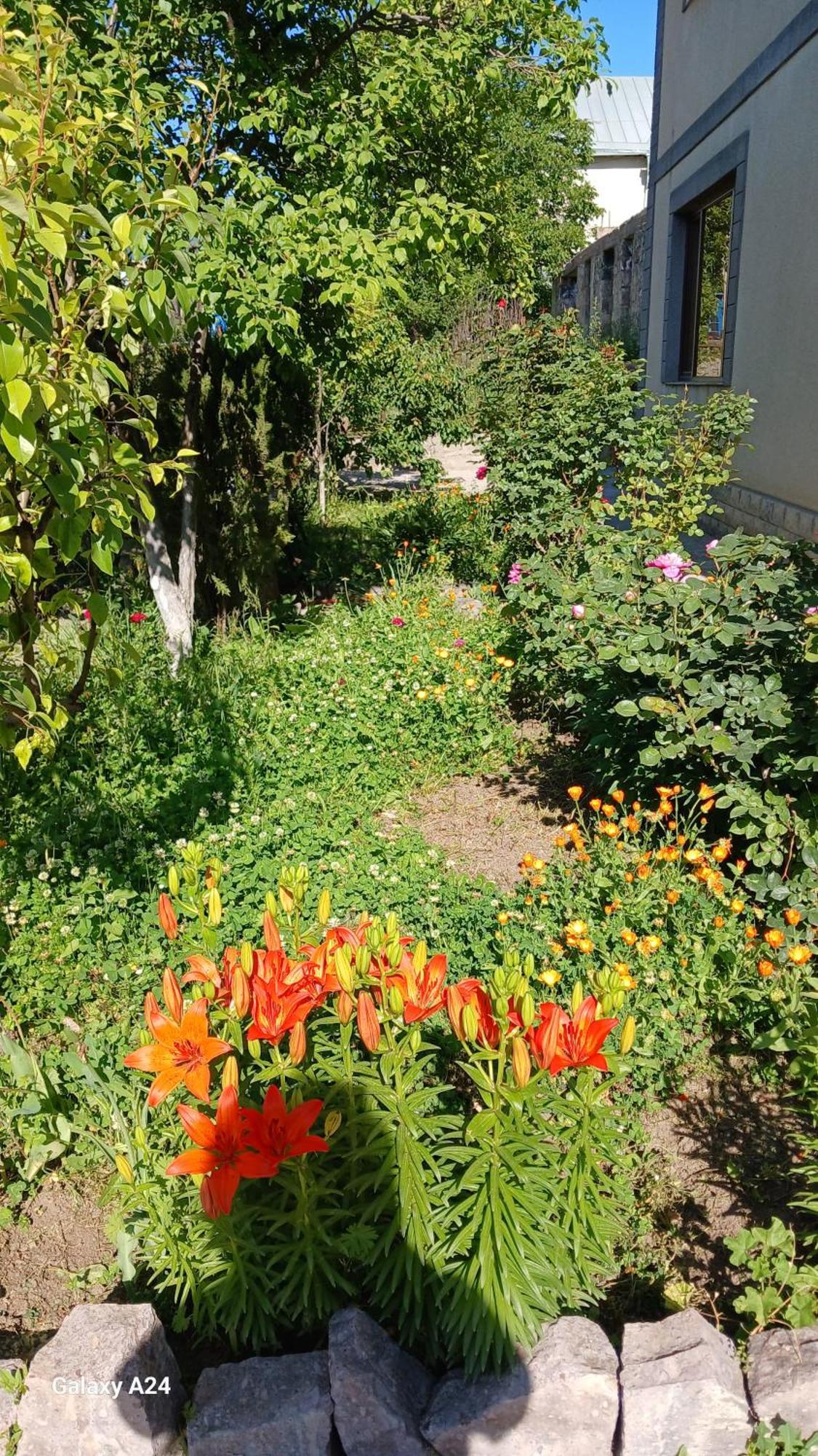 Green Dilijan B&B Экстерьер фото