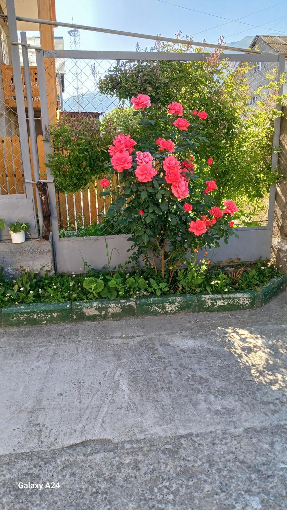 Green Dilijan B&B Экстерьер фото