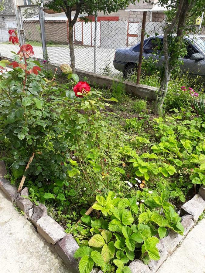 Green Dilijan B&B Экстерьер фото