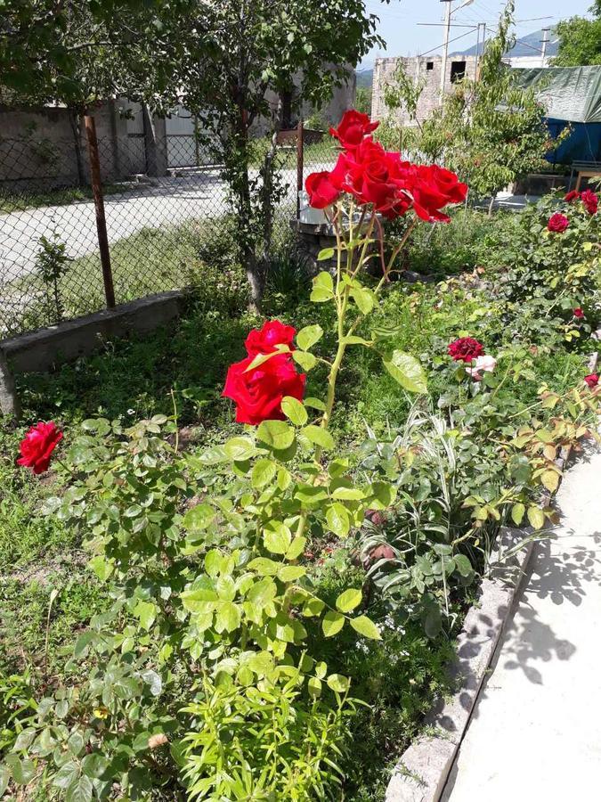 Green Dilijan B&B Экстерьер фото